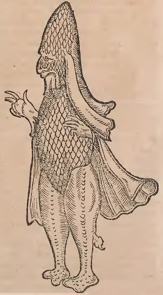 Ficheiro:ConradiGesnerimIVGess-439 Seabishop.jpg